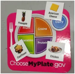 Choose My Plate Picture - Nutrition in PE