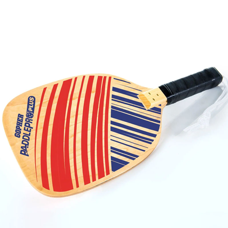 PaddlePro